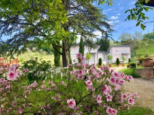 Hangar 1 & 2 Vista dall esterno