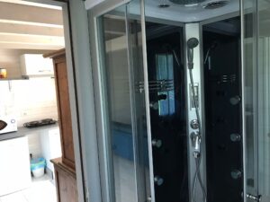 Massey Ferguson N 11